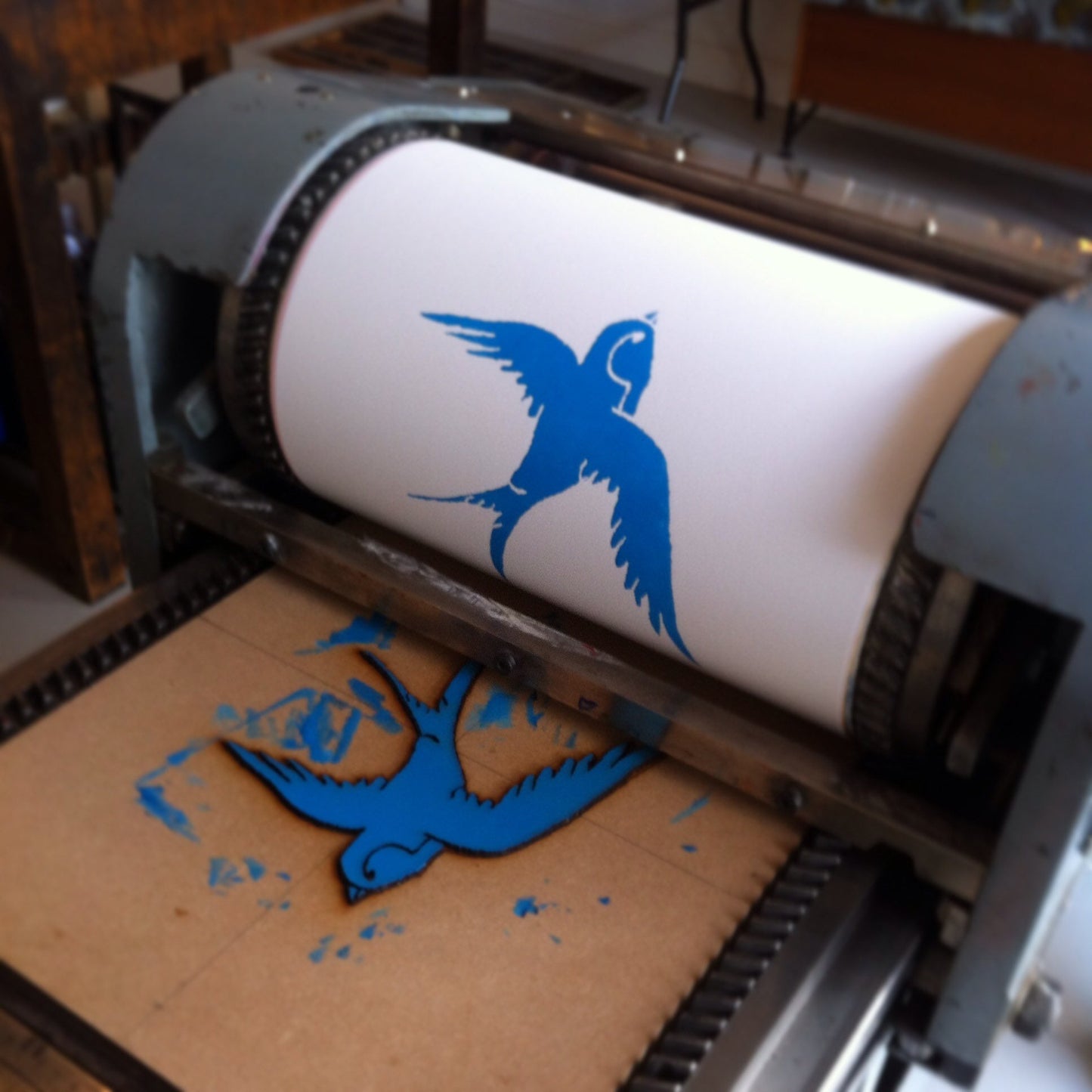 Swallow laser cut wood prints various colours